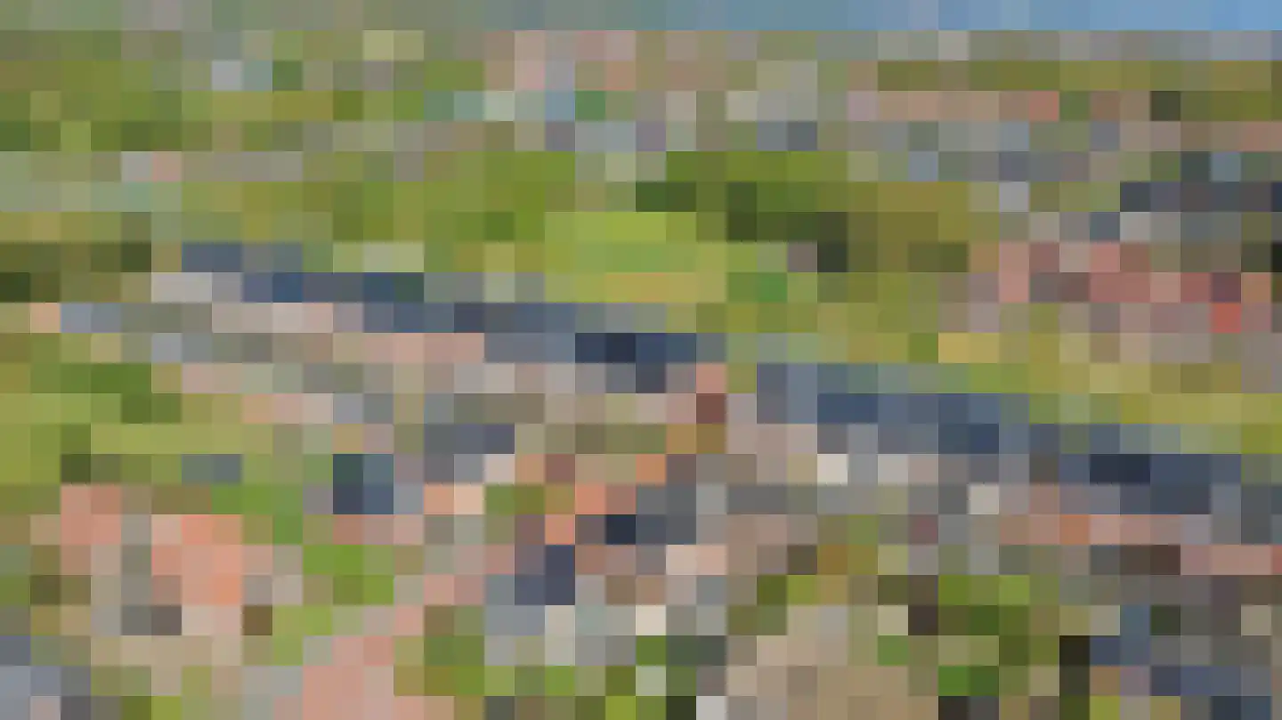 Palissade 35 Almelo thumbnail 44
