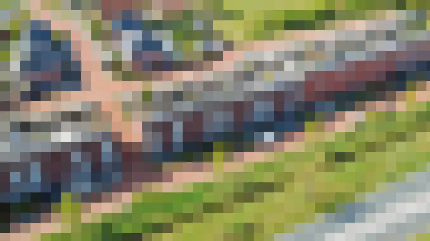 Palissade 35 Almelo thumbnail 45