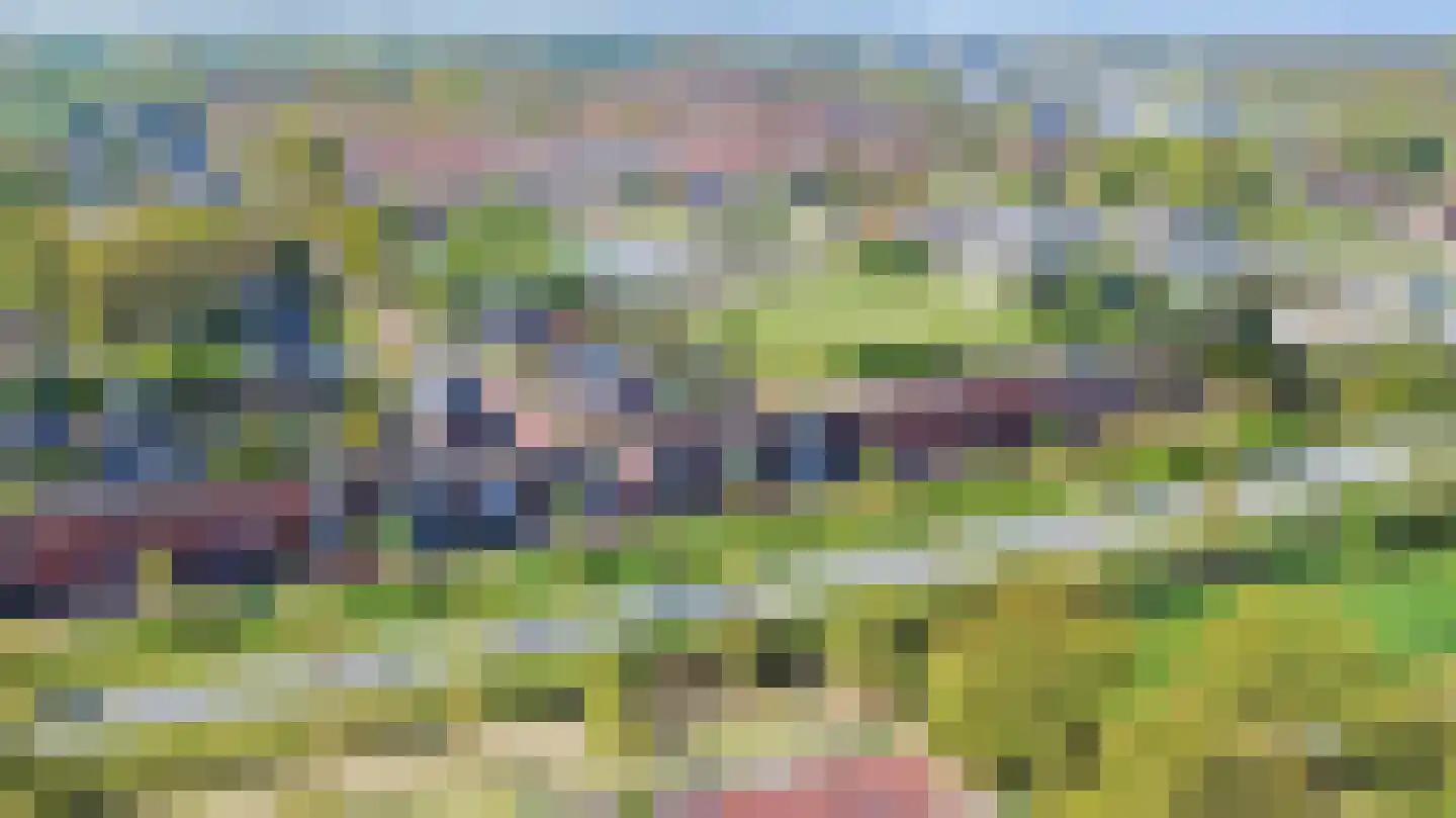 Palissade 35 Almelo thumbnail 46