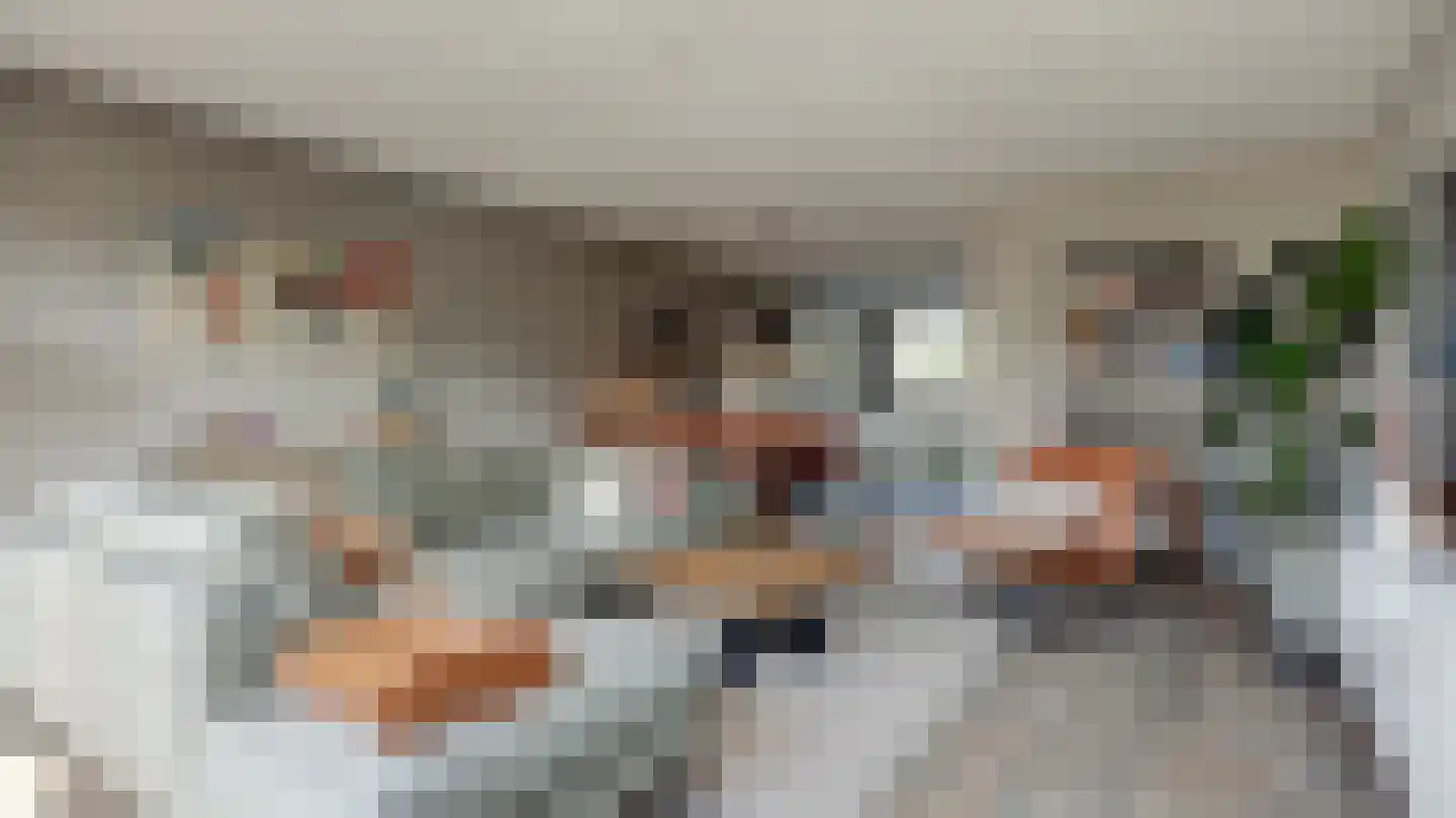 Palissade 35 Almelo thumbnail 5