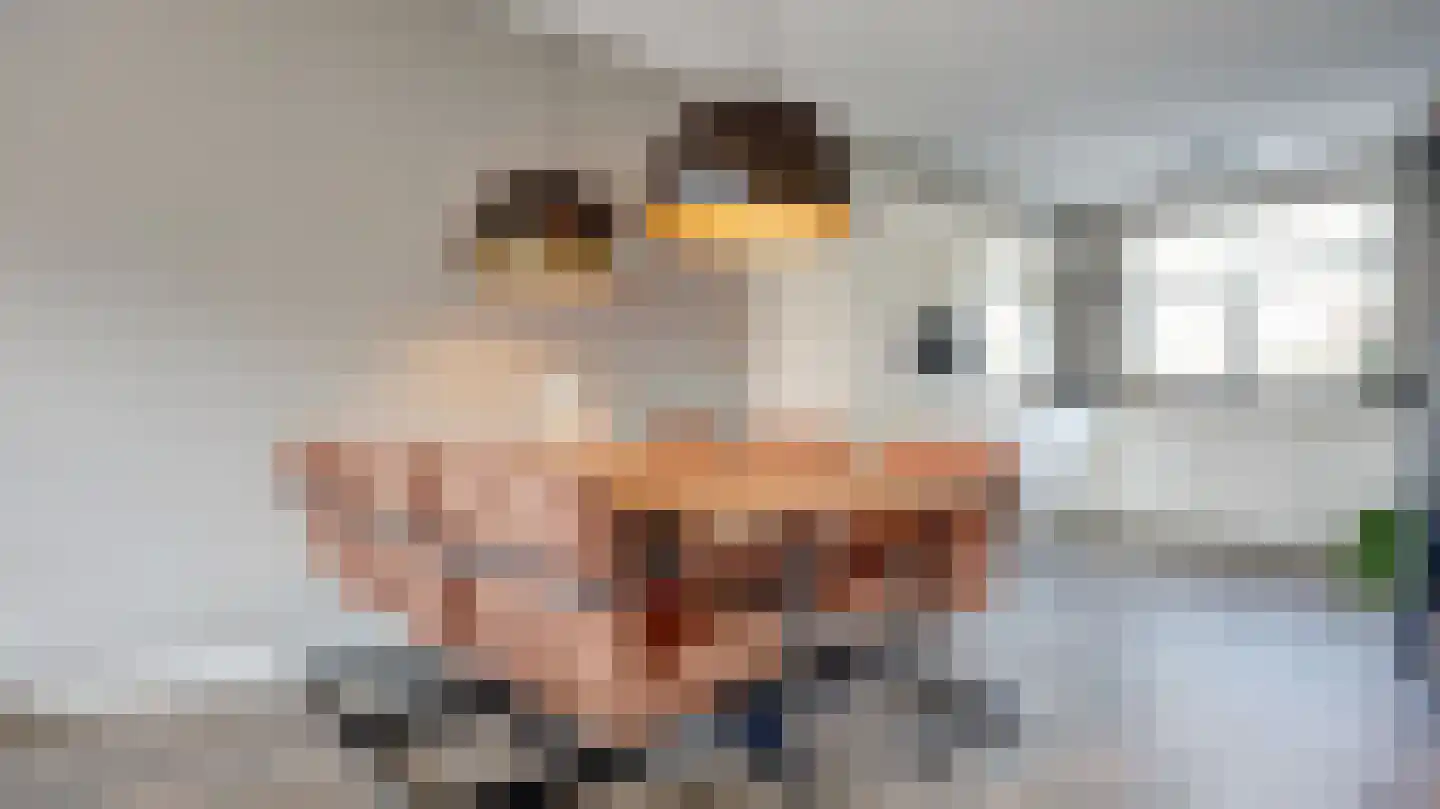 Palissade 35 Almelo thumbnail 6