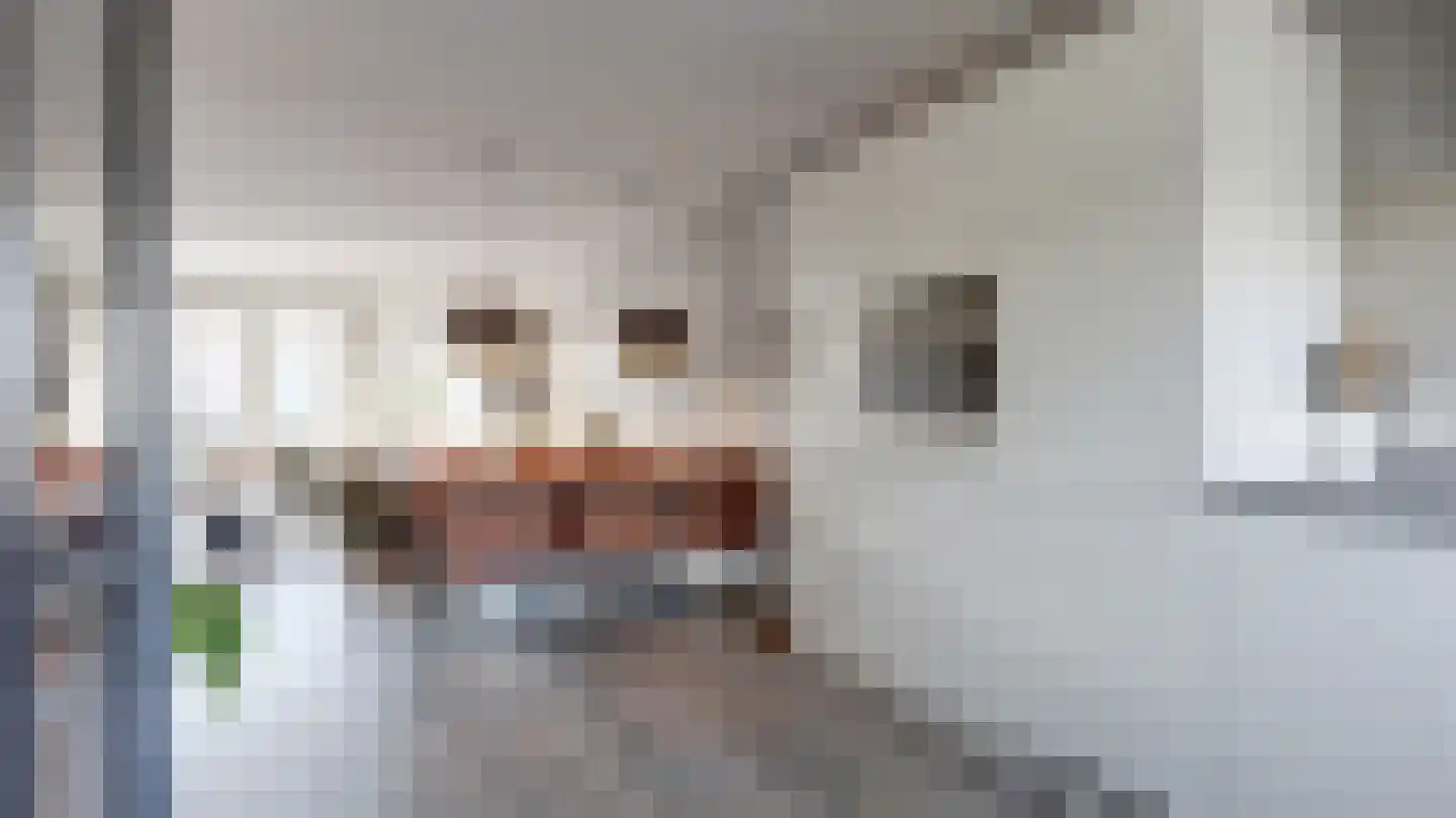 Palissade 35 Almelo thumbnail 9