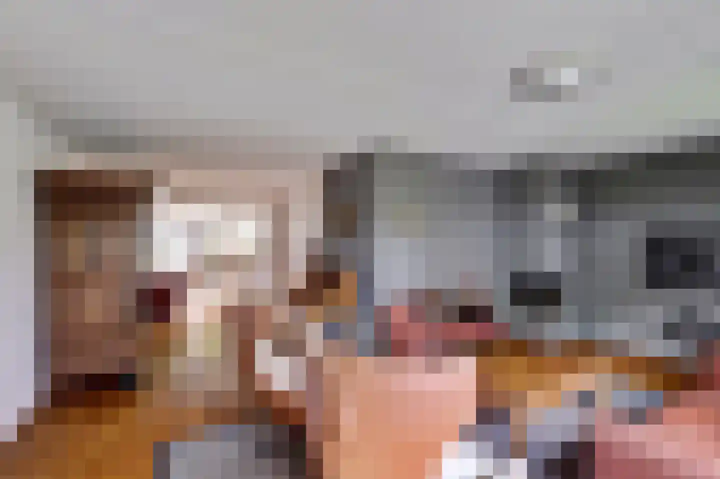 Palissade 7 Leerdam thumbnail 10