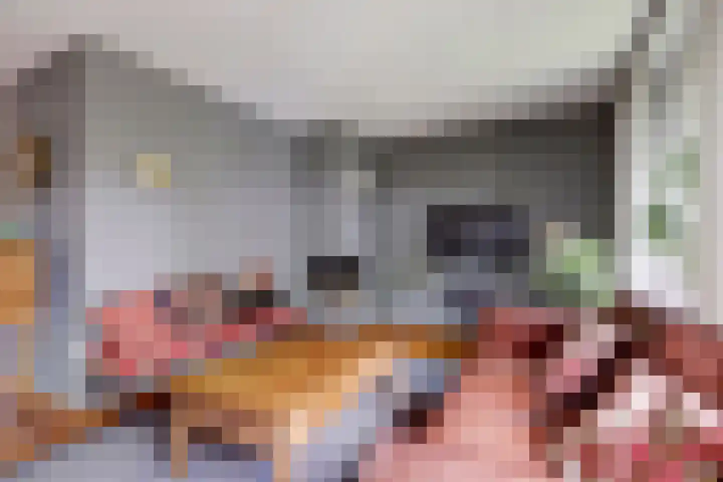 Palissade 7 Leerdam thumbnail 11