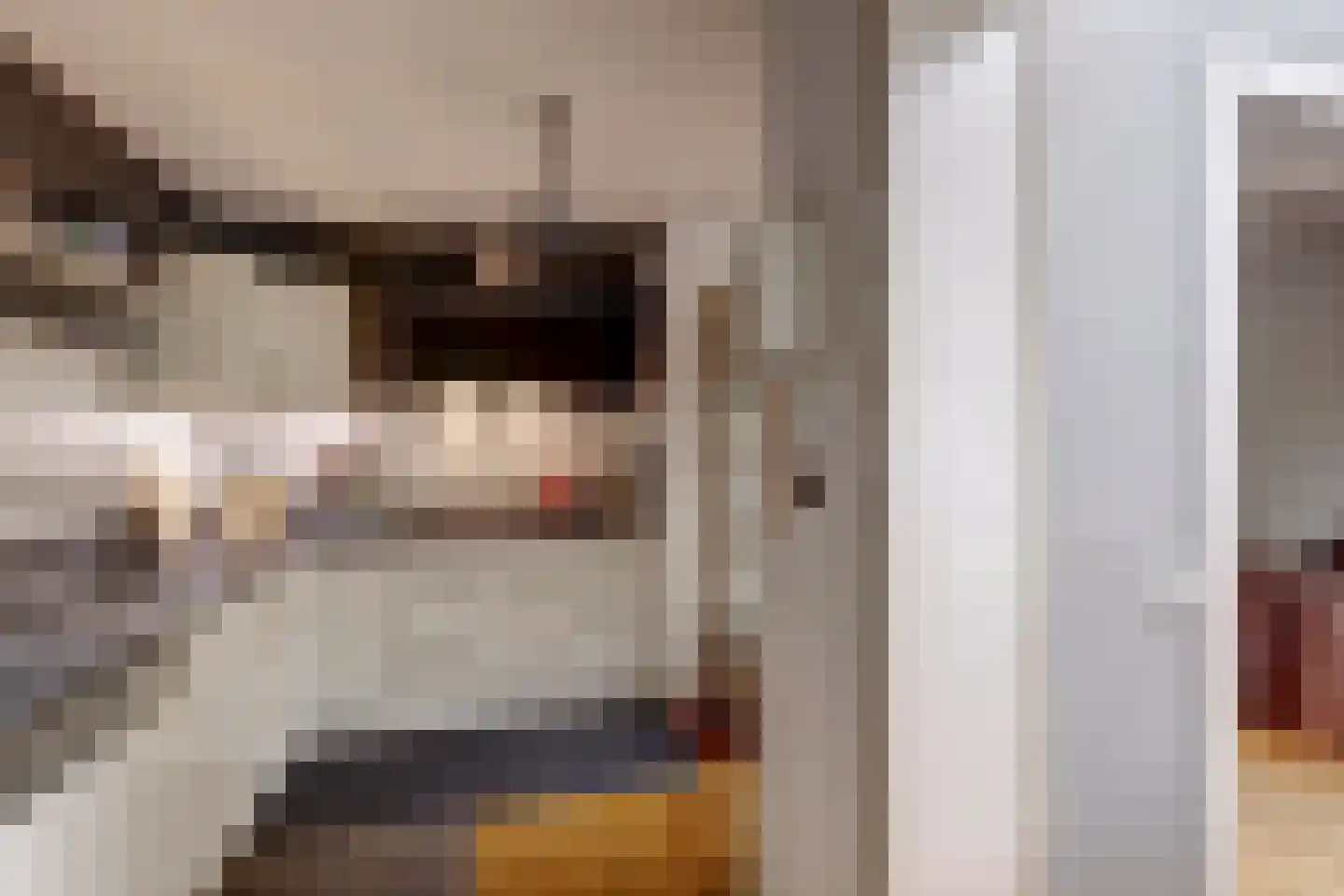 Palissade 7 Leerdam thumbnail 20