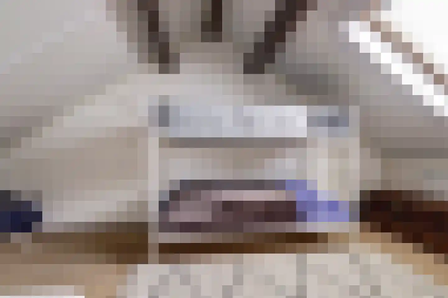 Palissade 7 Leerdam thumbnail 40