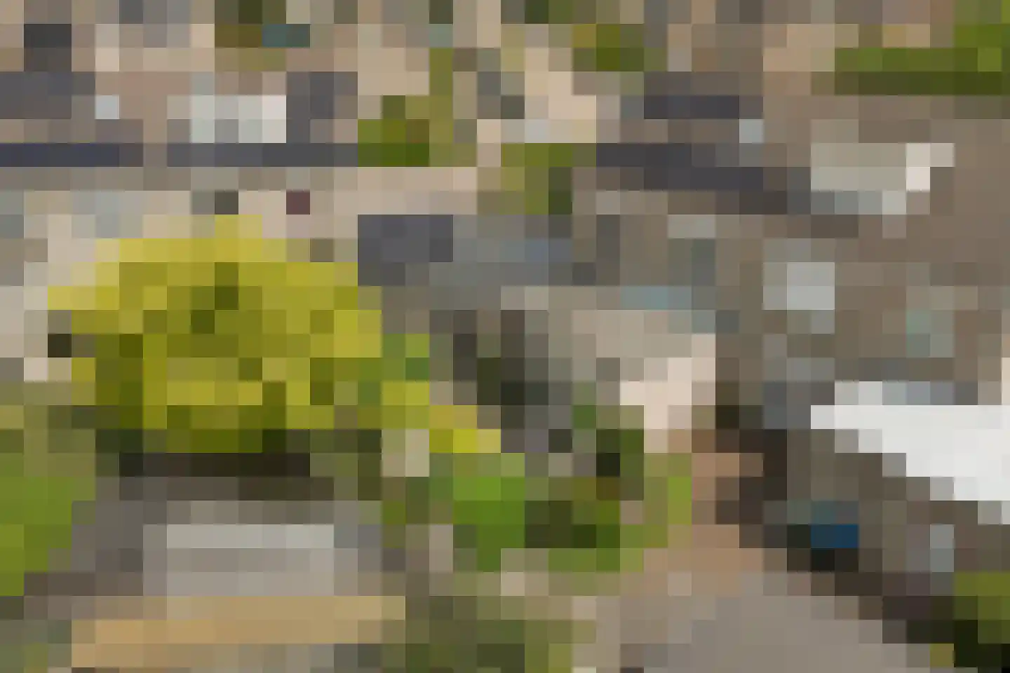 Palissade 7 Leerdam thumbnail 41