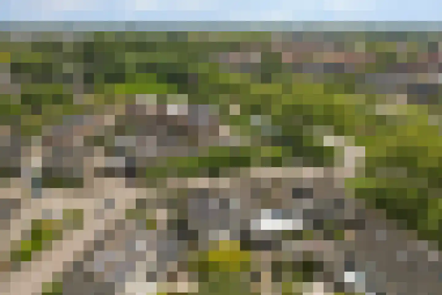Palissade 7 Leerdam thumbnail 47