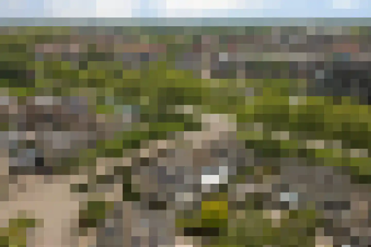 Palissade 7 Leerdam thumbnail 48