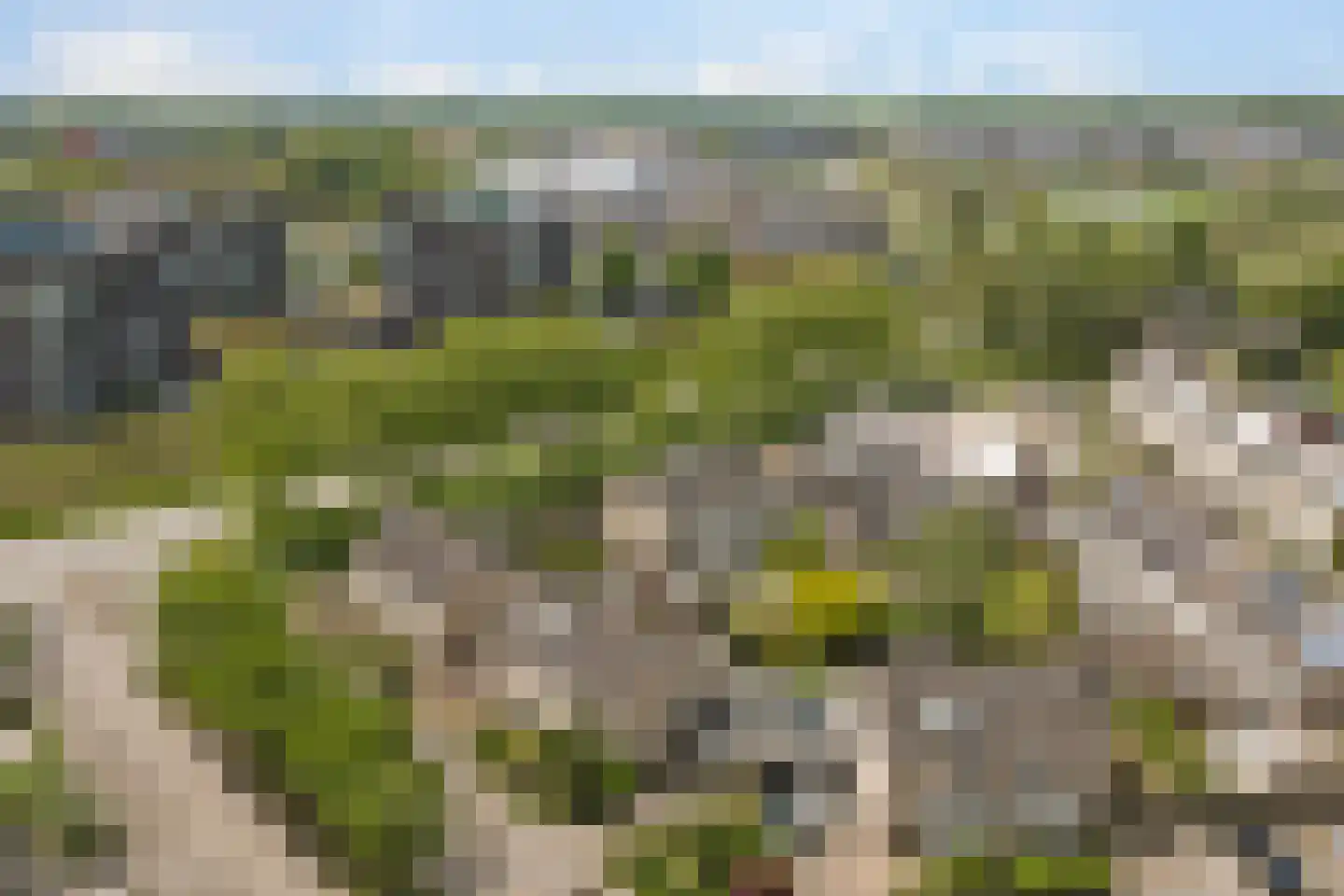 Palissade 7 Leerdam thumbnail 49