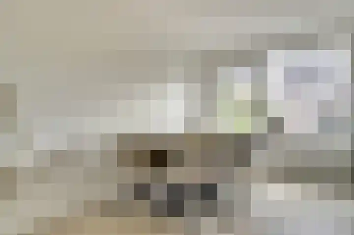 Palissade 82 Leerdam thumbnail 10