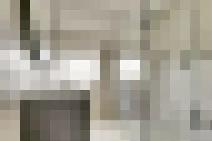 Palissade 82 Leerdam thumbnail 23