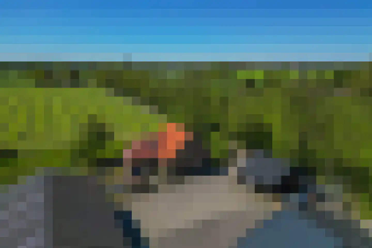 Palissaden 3 Nijkerk thumbnail 10