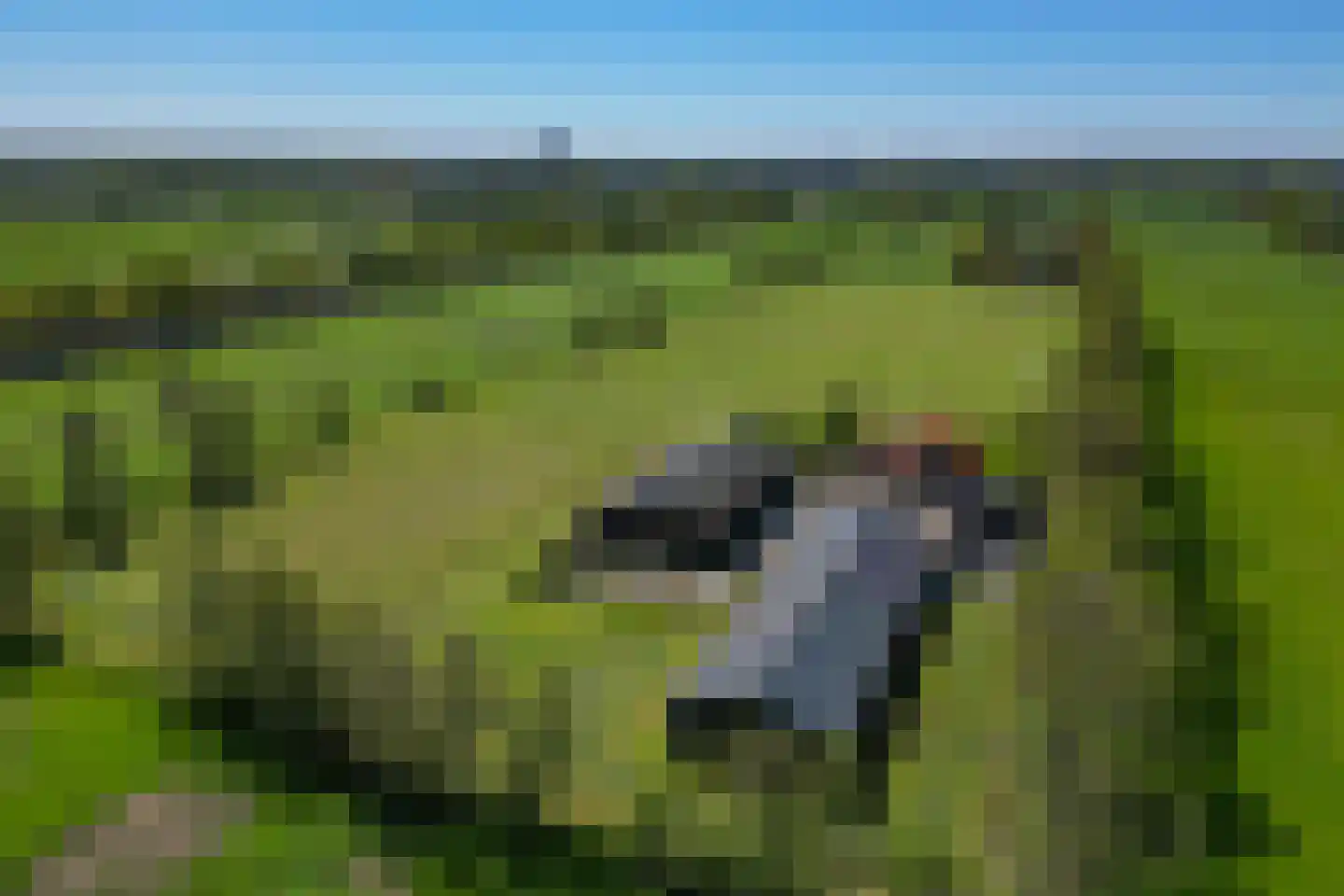 Palissaden 3 Nijkerk thumbnail 50