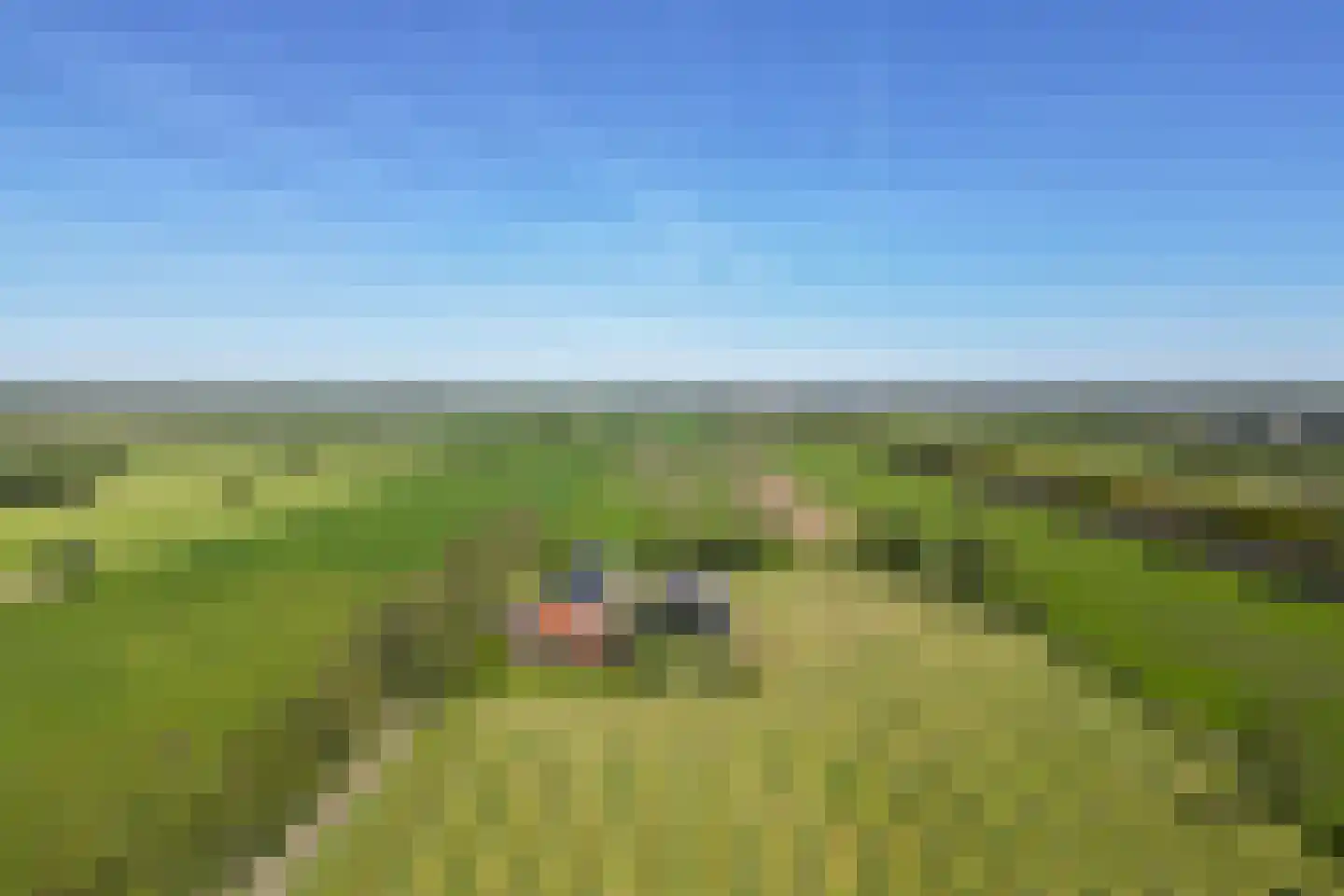 Palissaden 3 Nijkerk thumbnail 56