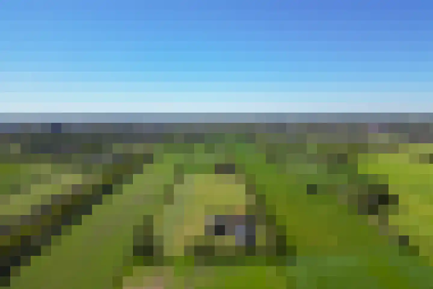 Palissaden 3 Nijkerk thumbnail 57