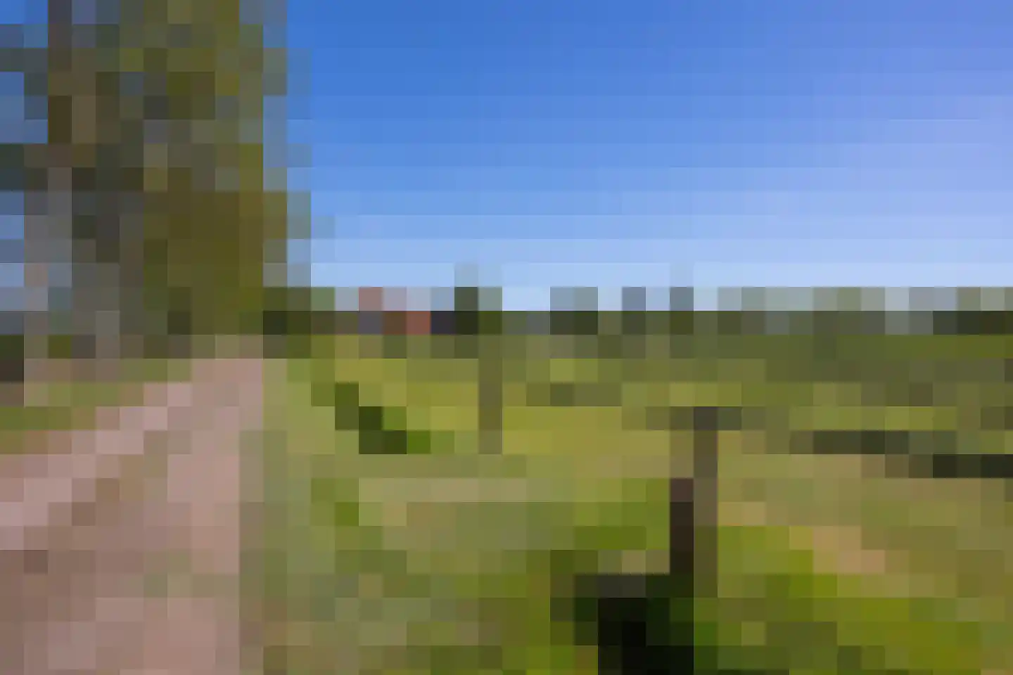 Palissaden 3 Nijkerk thumbnail 59