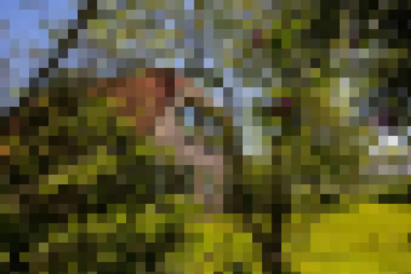 Palissaden 3 Nijkerk thumbnail 6