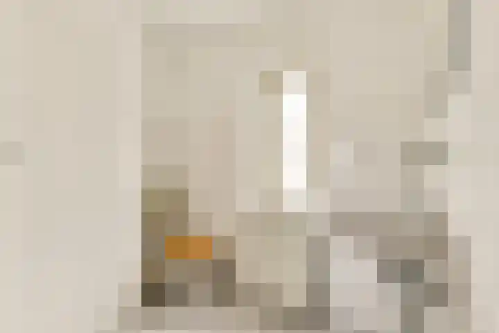 Palissander 15 Dordrecht thumbnail 26