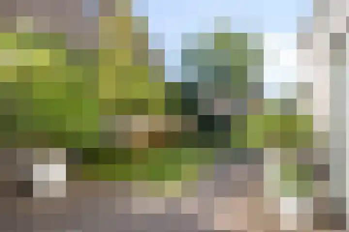 Palissander 2 Rosmalen thumbnail 34