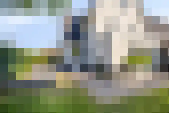 Palissander 2 Rosmalen thumbnail 37