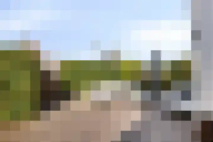 Palissander 2 Rosmalen thumbnail 38