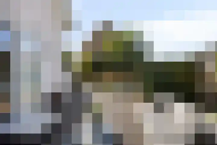 Palissander 2 Rosmalen thumbnail 39