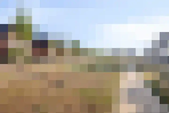 Palissander 2 Rosmalen thumbnail 43