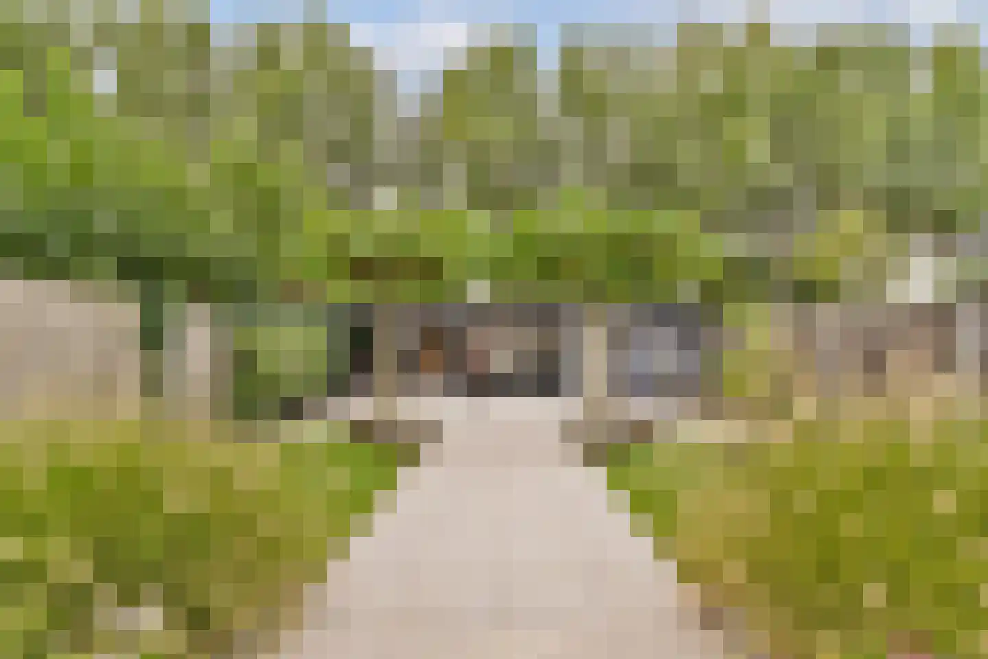 Palissander 203 Dordrecht thumbnail 38