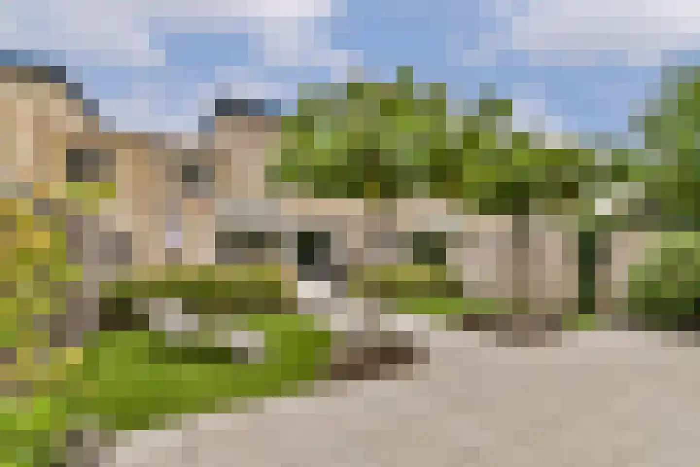 Palissander 203 Dordrecht thumbnail 6
