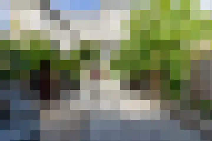 Palissander 212 Dordrecht thumbnail 26