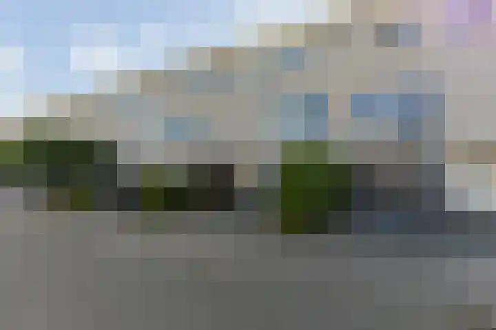 Palissander 212 Dordrecht thumbnail 29