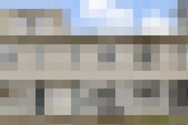 Palissander 22 Dordrecht