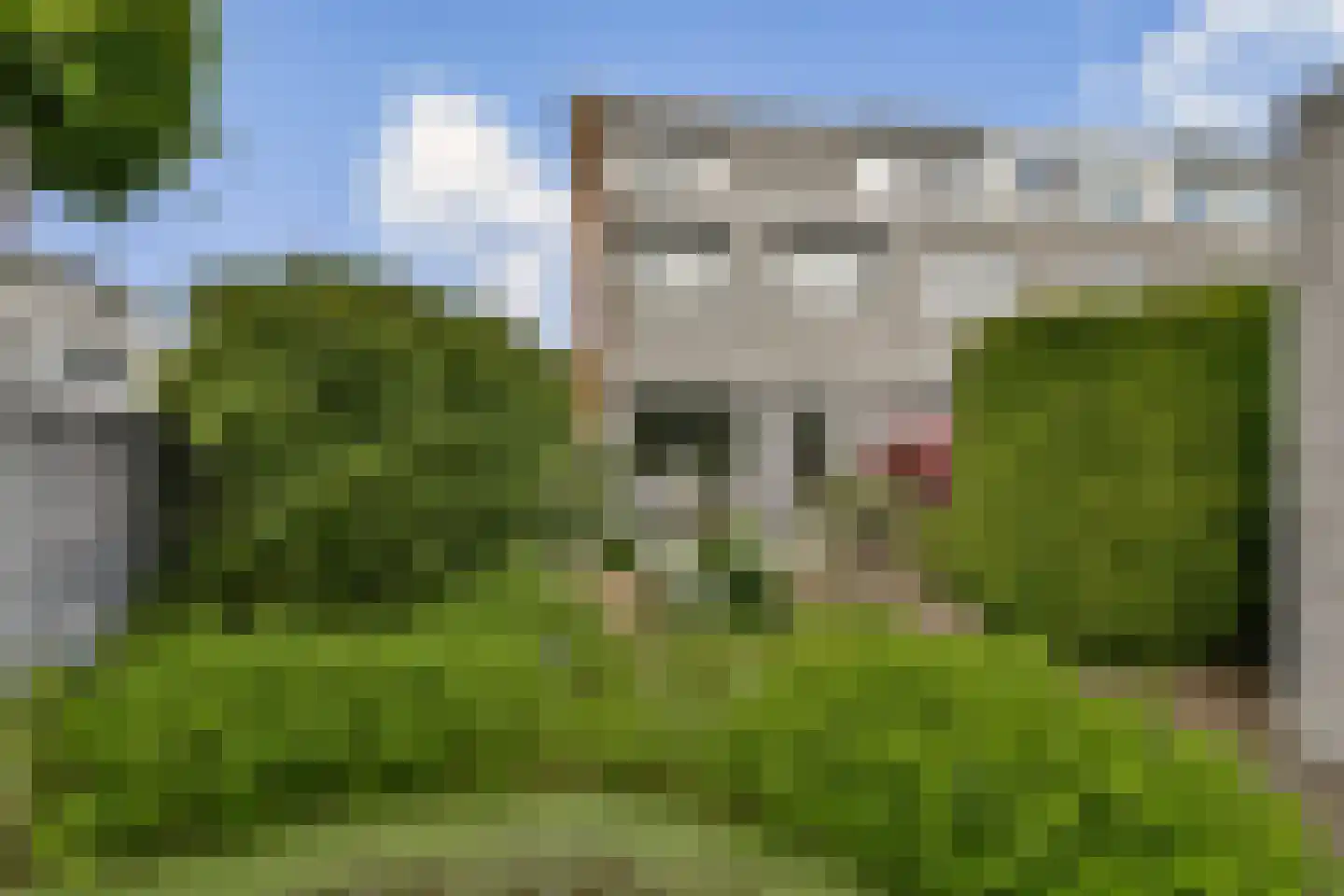 Palissander 343 Dordrecht thumbnail 22