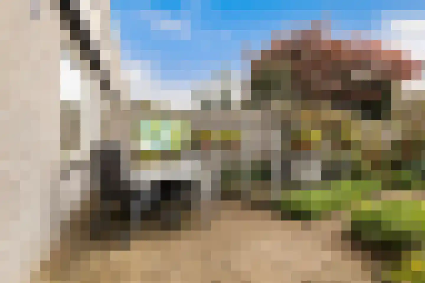 Palissander 381 Dordrecht thumbnail 29