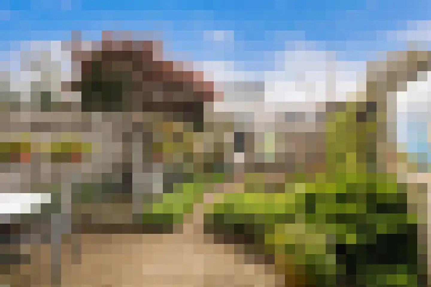 Palissander 381 Dordrecht thumbnail 6