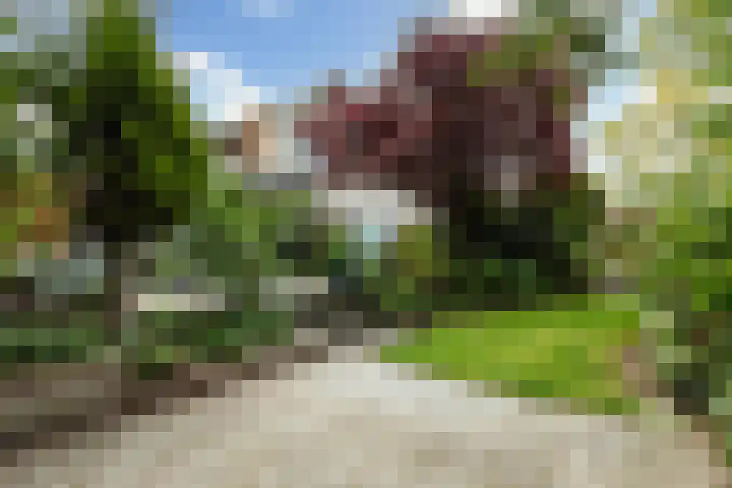 Palissander 389 Dordrecht thumbnail 27