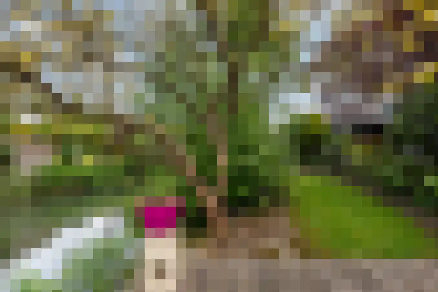 Palissander 389 Dordrecht thumbnail 29