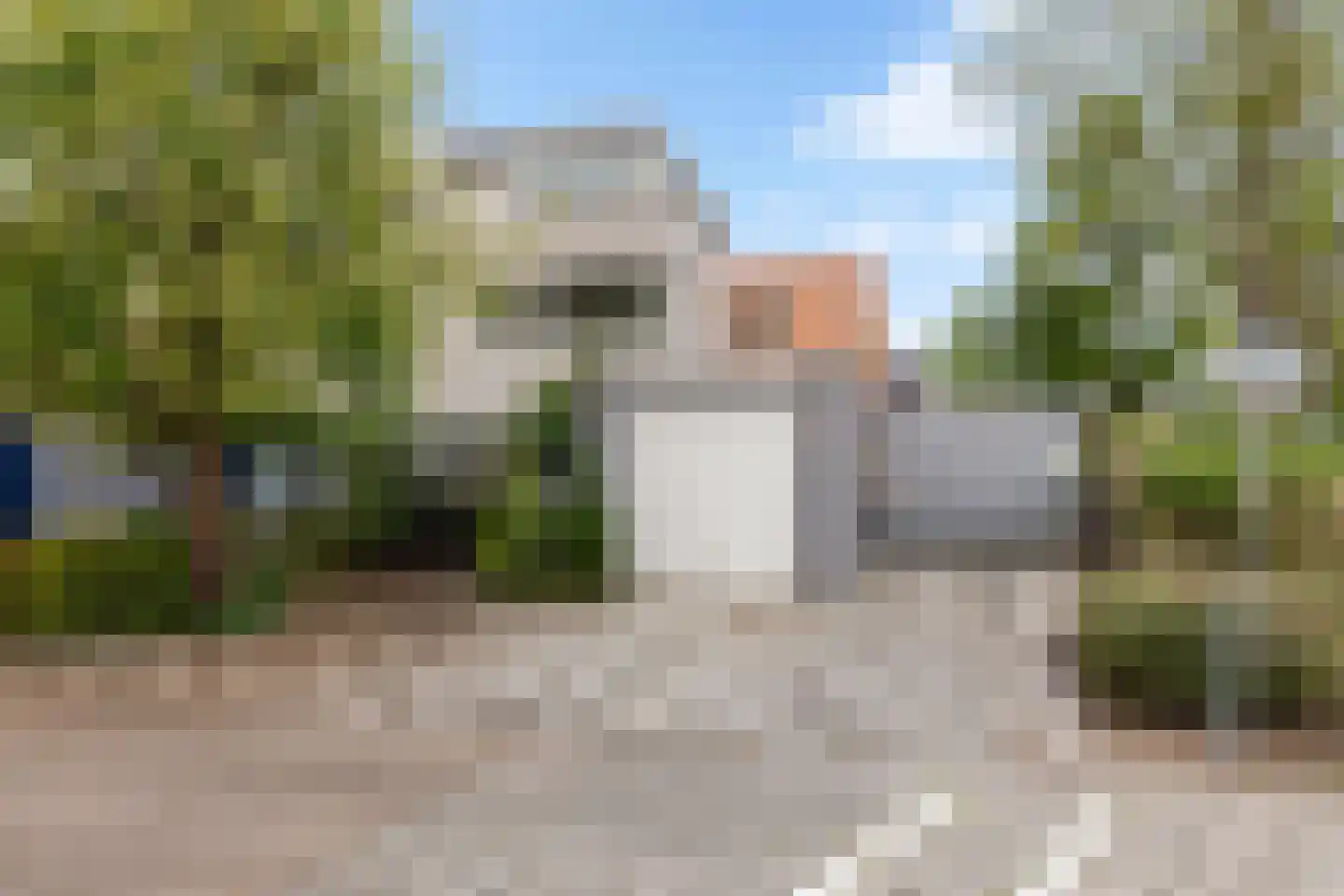 Palissander 389 Dordrecht thumbnail 4