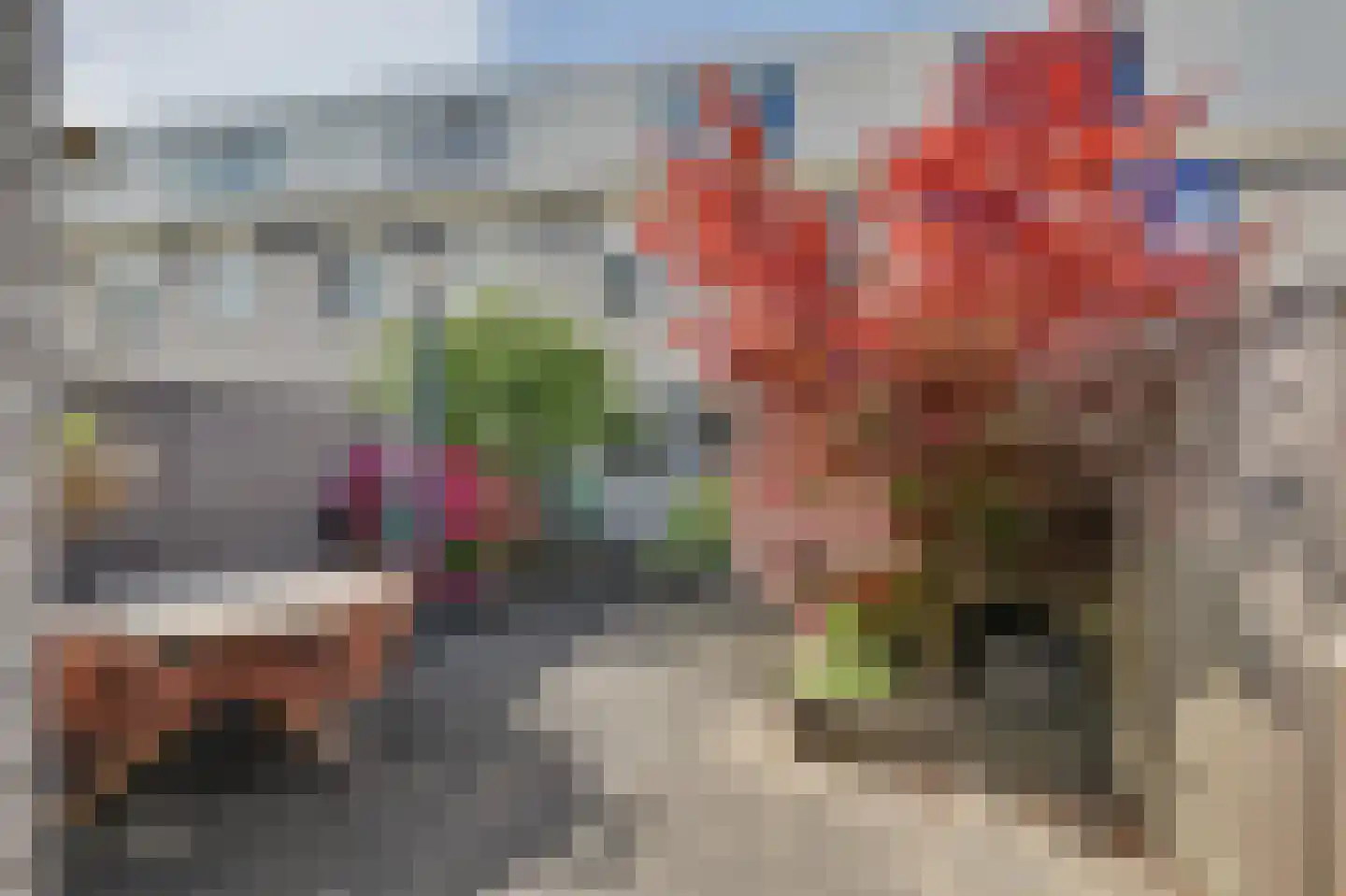 Palissander 59 Dordrecht thumbnail 8