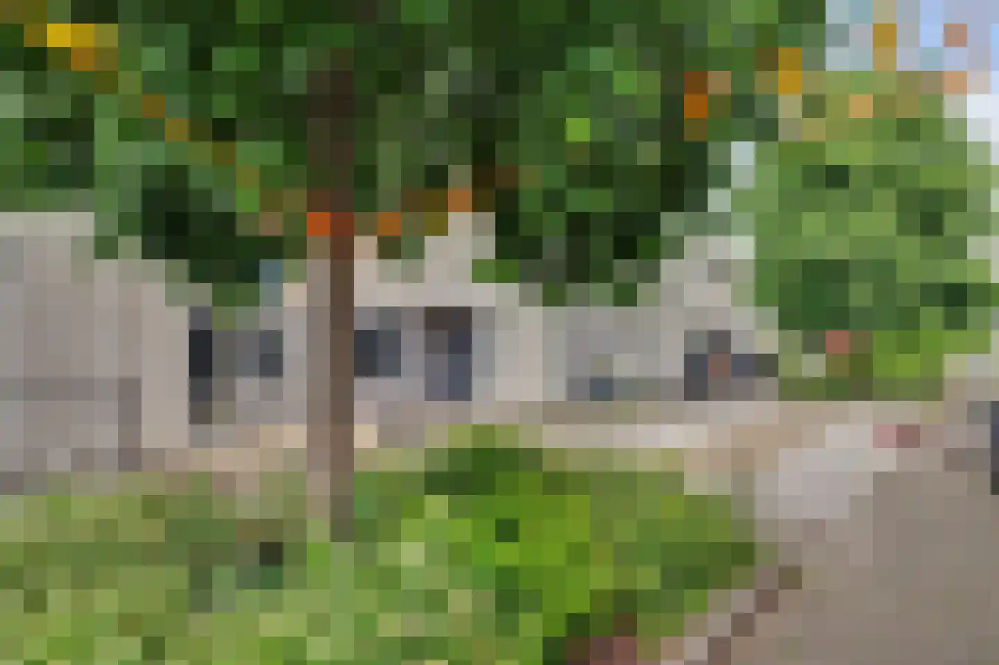 Palissander 60 Dordrecht thumbnail 39