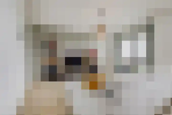 Palissanderhout 100 Waddinxveen thumbnail 10