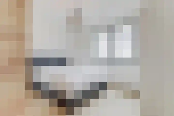Palissanderhout 100 Waddinxveen thumbnail 18