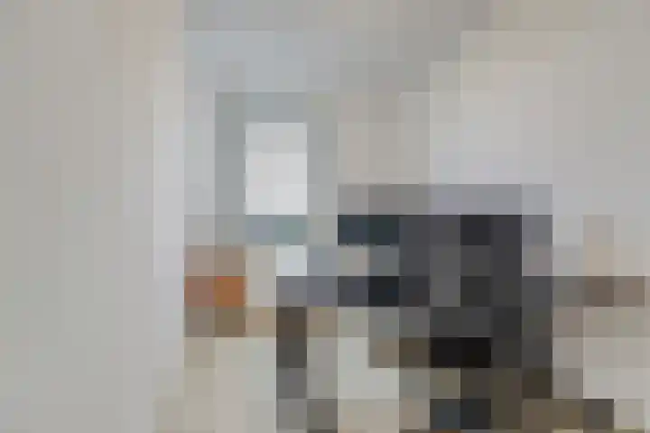 Palissanderhout 100 Waddinxveen thumbnail 22