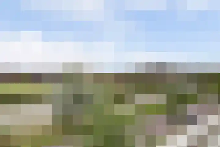 Palissanderhout 100 Waddinxveen thumbnail 25