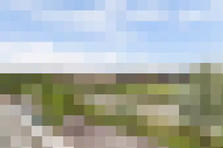 Palissanderhout 100 Waddinxveen thumbnail 26