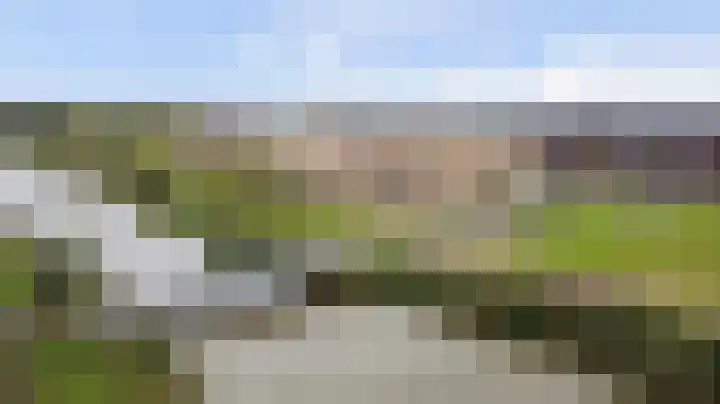 Palissanderhout 100 Waddinxveen thumbnail 27