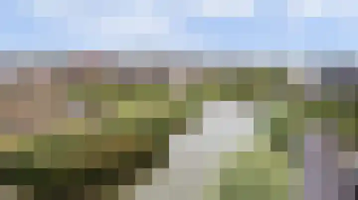 Palissanderhout 100 Waddinxveen thumbnail 28