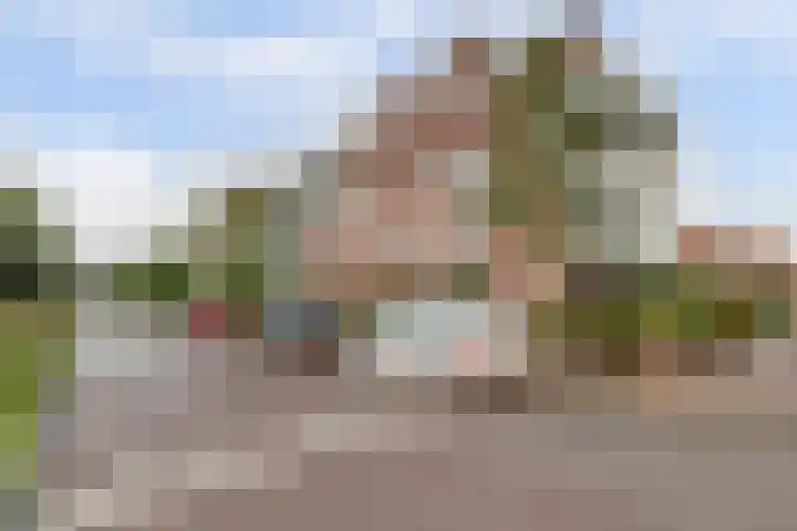 Palissanderhout 100 Waddinxveen thumbnail 31