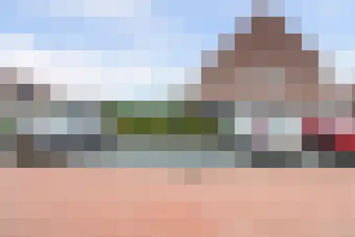 Palissanderhout 100 Waddinxveen thumbnail 32